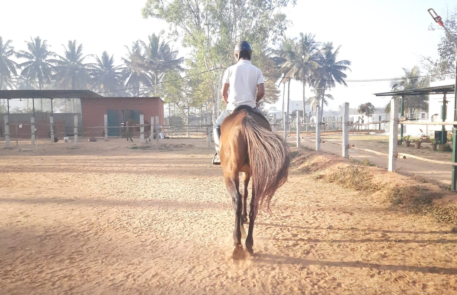 horse riding lessons for kids