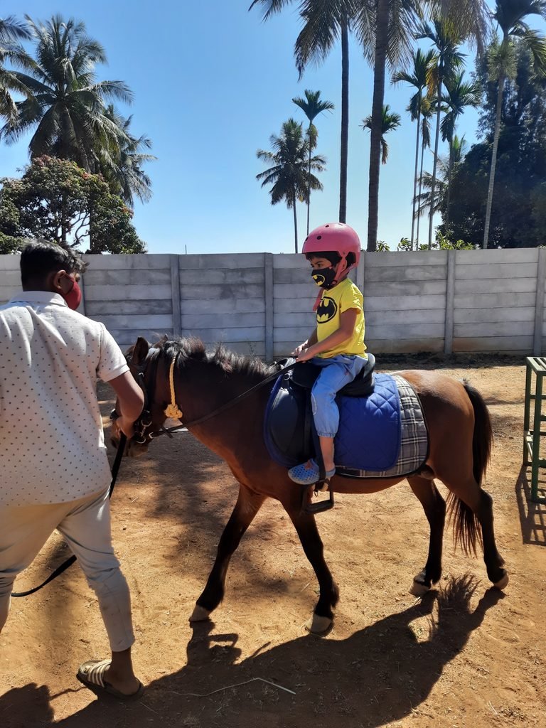 Horse assisted therapy for ADHD in Bangalore