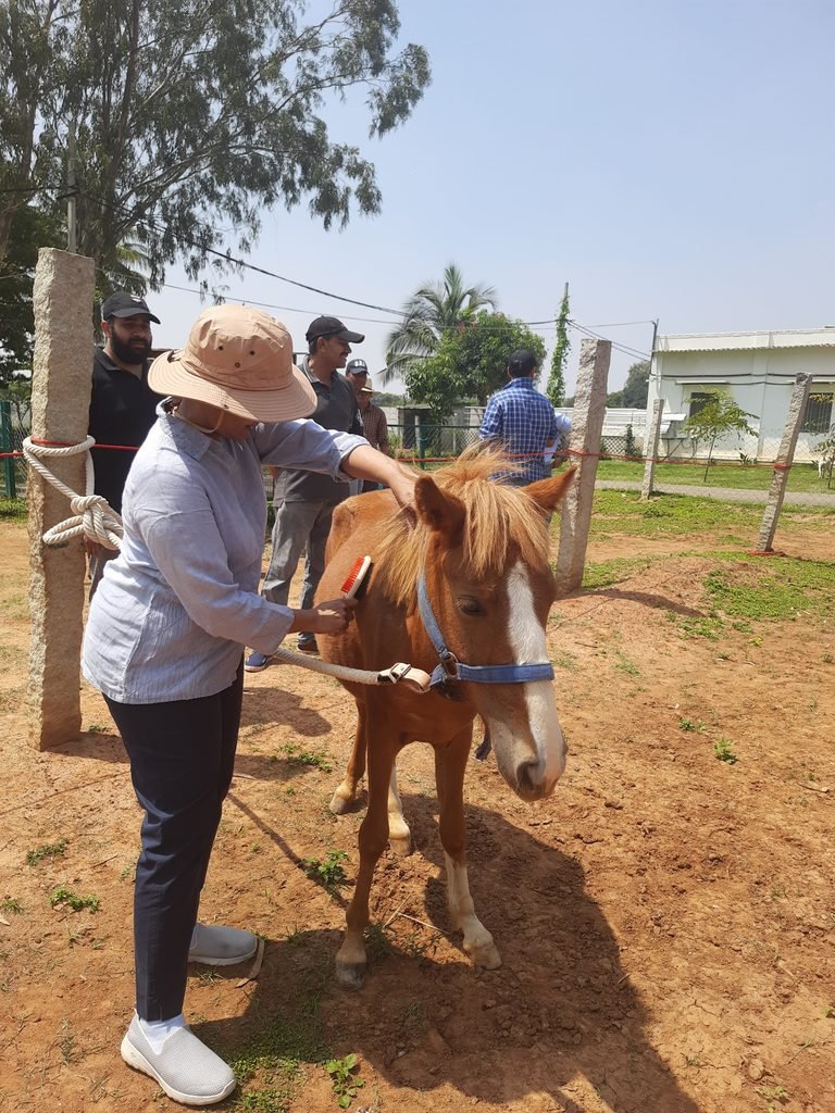 Corporate leadership coaching and team building program with horses 1