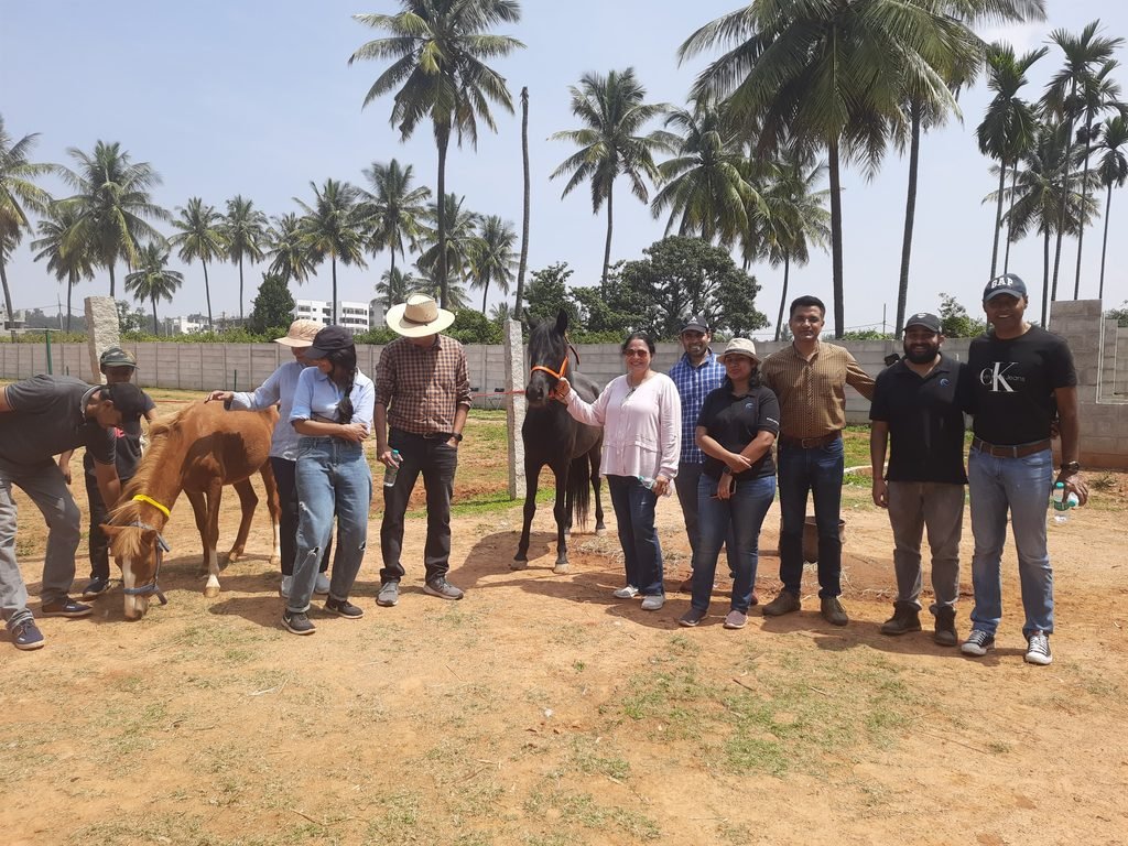 Corporate leadership coaching and team building program with horses 2