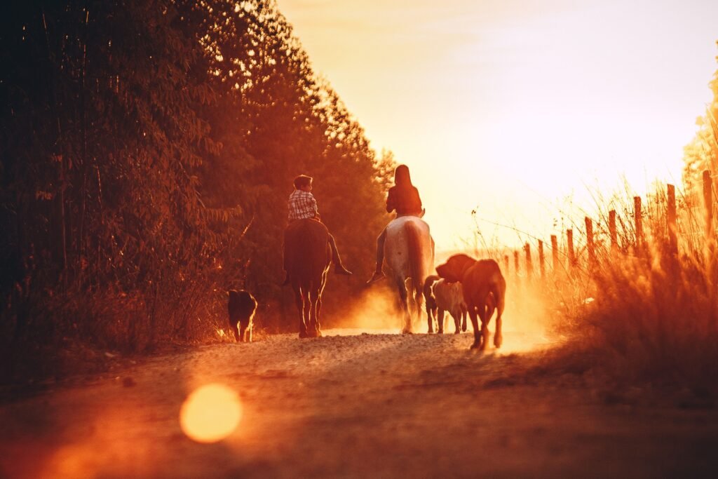 Two people horseback riding on a rural path as the sun sets, surrounded by warm tones.